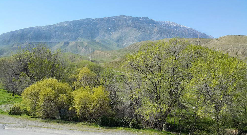Chuli Valley